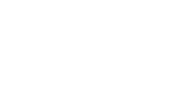 logo Footer Sp-Net